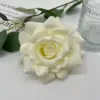 นมสีขาว