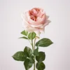 Rosa Gialla Autunnale