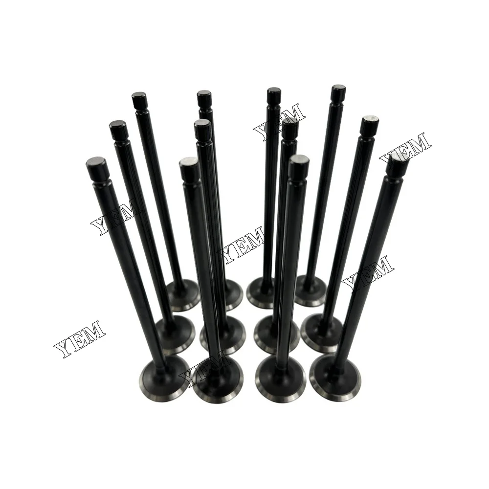 Exhaust Valve Fit for Hyundai D6CA Engine