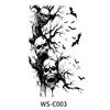 WS-C003