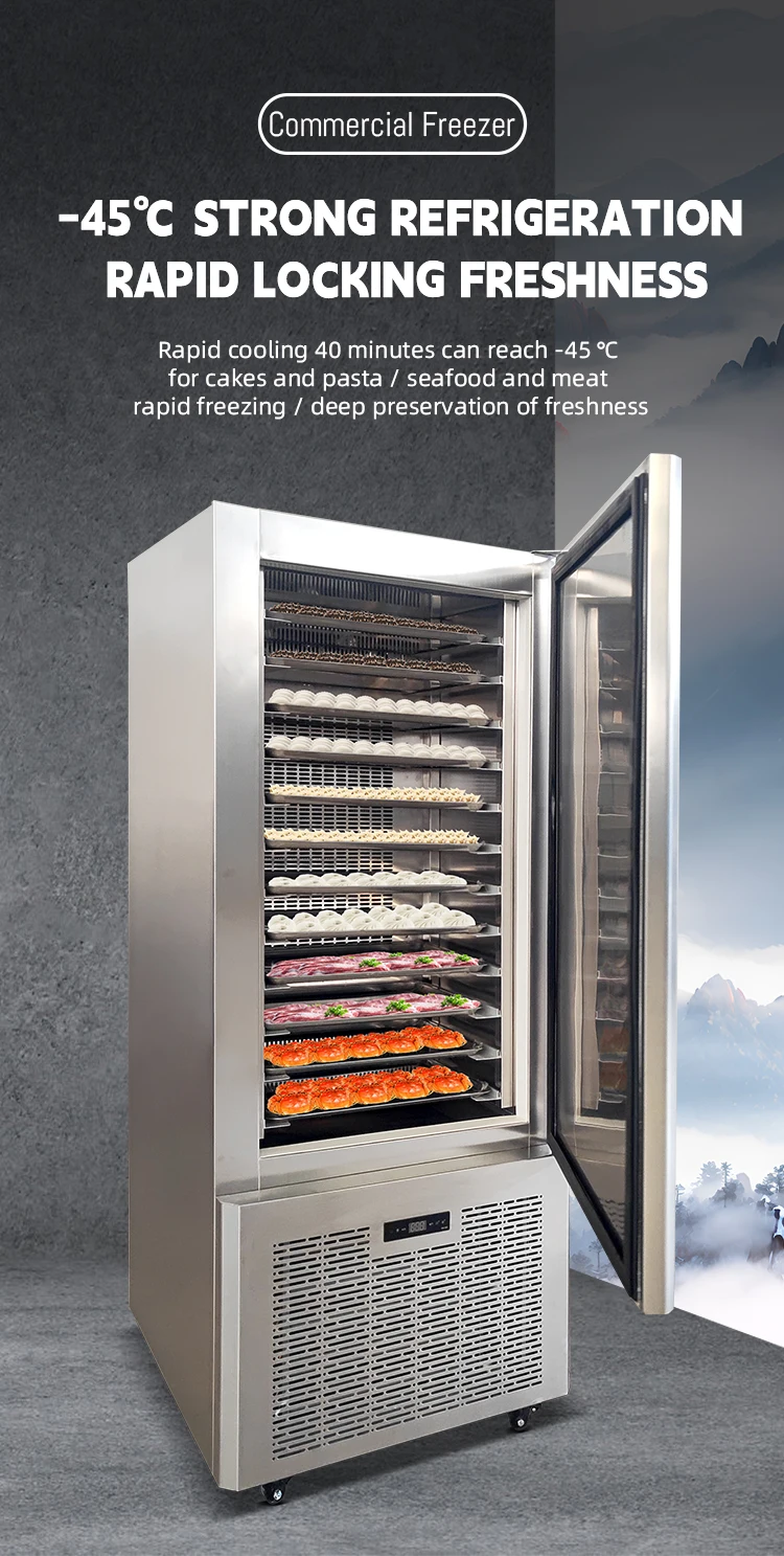 Blast Freezer, 220, 3.5 KW(4.69hp) - detail 6