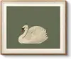 Animali-cigno verde