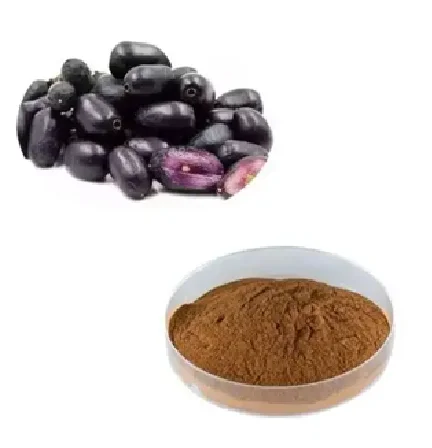 Wholesale Jamun Extract Powder Natural Syzygium Cumini Extract Rich in Antioxidants Bulk Supply for Supplements