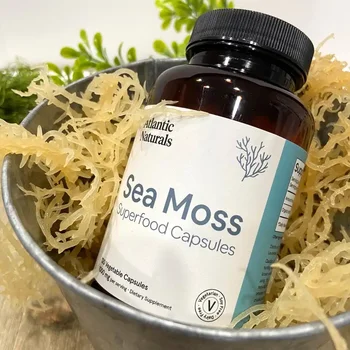 OEM High Quality Seamoss extract Seamoss Blend Powder Irish Sea Moss capsules Sea Moss Gummie