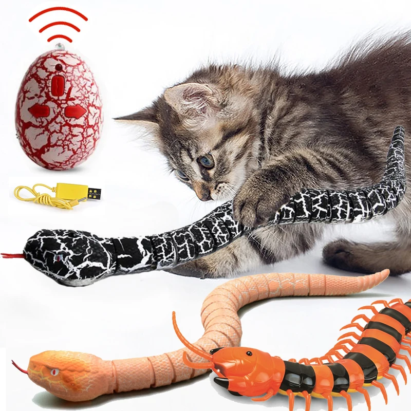 Giocattolo gatto serpente telecomandato