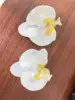Zapatos de orquídea mariposa blanca con núcleo amarillo claro - un par