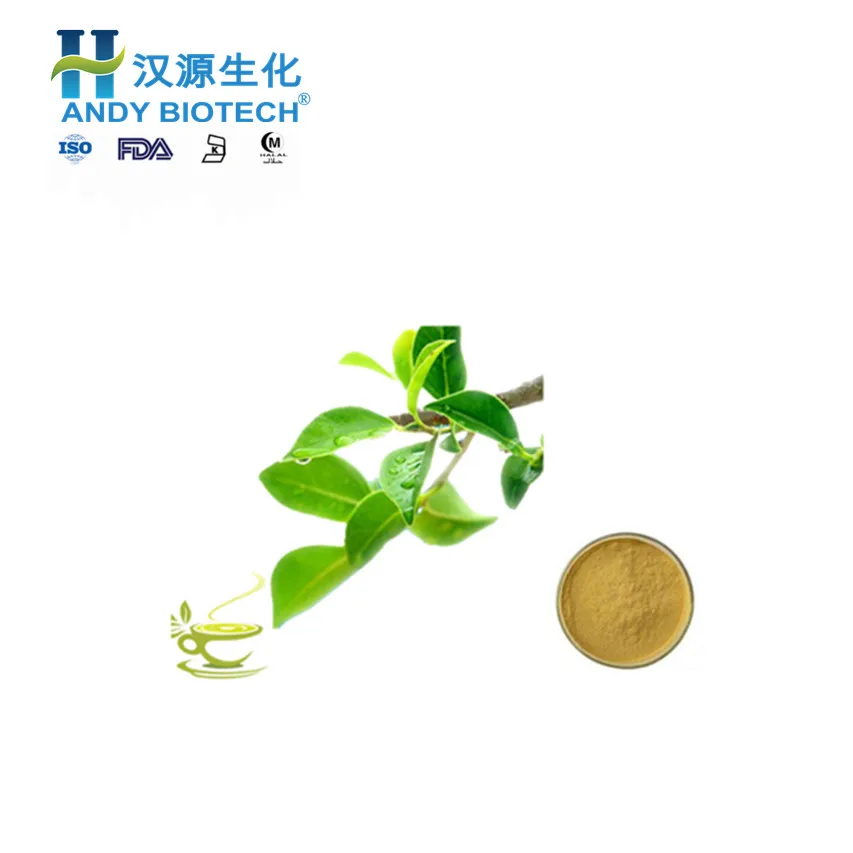 Green tea extract 3.jpg