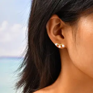 Korean Design Exquisite Stud Earrings Stainless Steel Gold Plated Minimalist Women's Stud Earrings