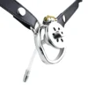 FRRK-192 curved ring with belt