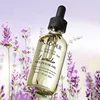 lavender 37589