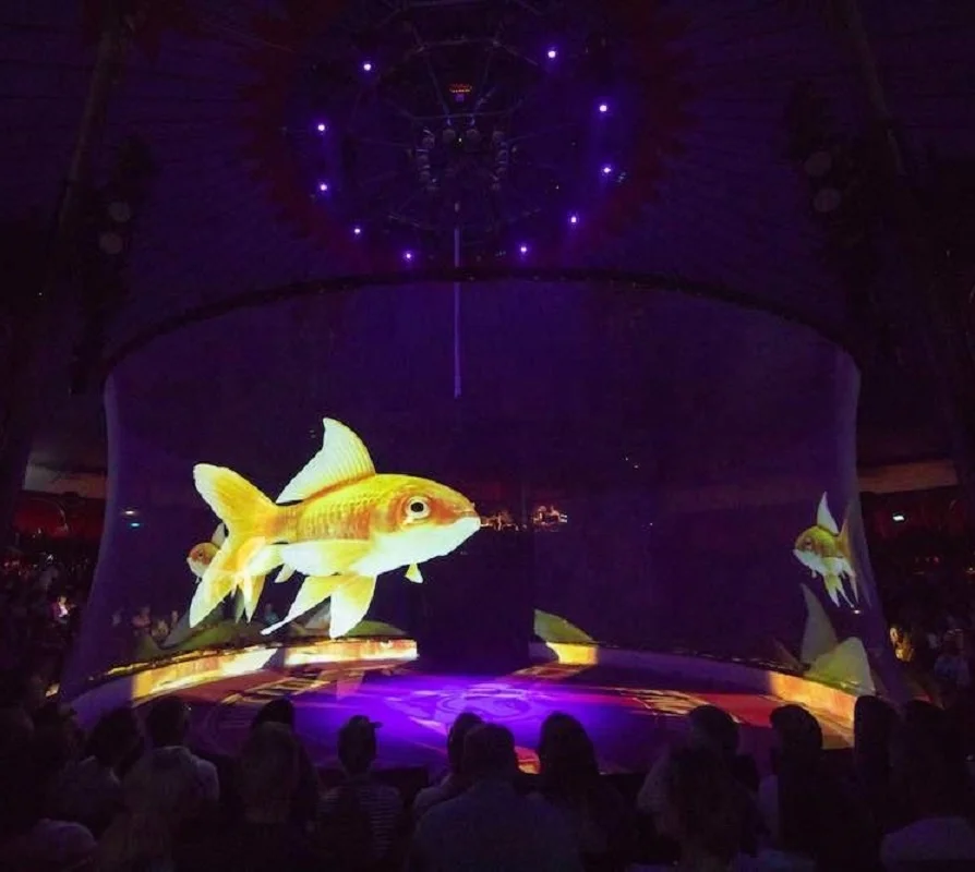 Outdoor Transparent Holographic Projector Mesh Screen for Hologram Events