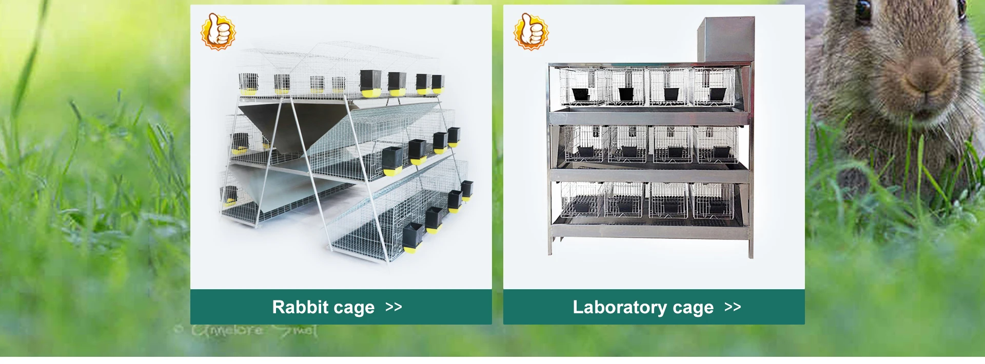 Shaoxing Lefeng Cage Equipment Co., Ltd. Rabbit Cage, Chicken Cage