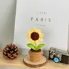 Orange B pointed sunflower potted