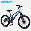 BDF-V8 gray blue