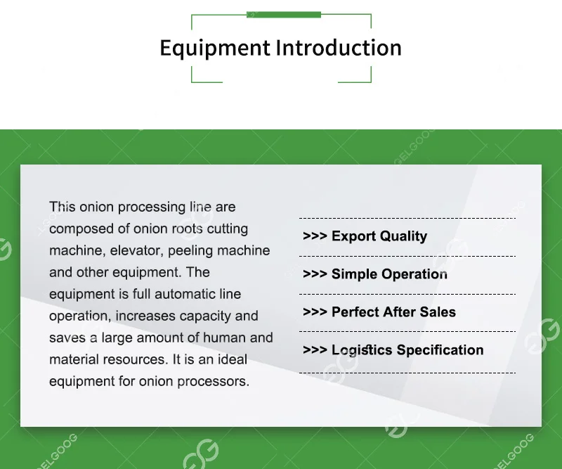 Automatic Onion Processing Line for Root Cutting and Peeling