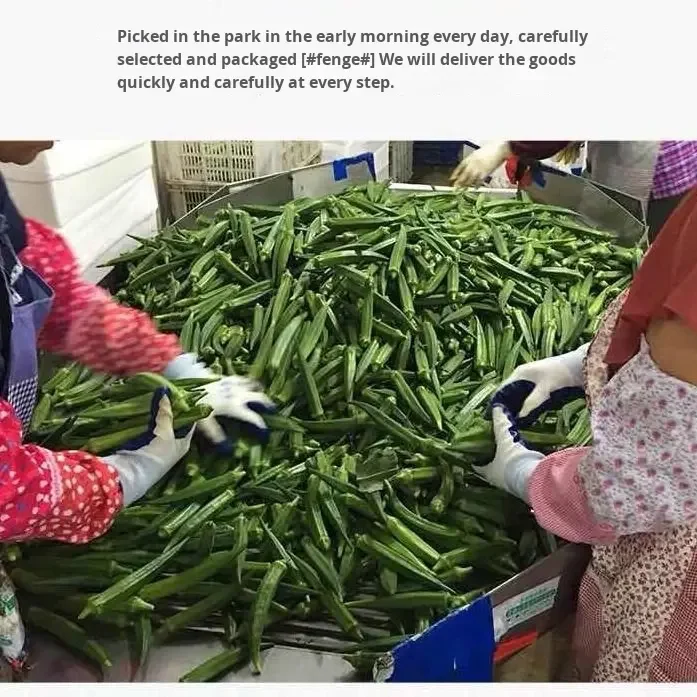 Freeze Dried Okra Chips - Wholesale Bulk & Private Label H1b93621a7bcc403c93eb2a7a046d7937H