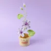 Pourpre