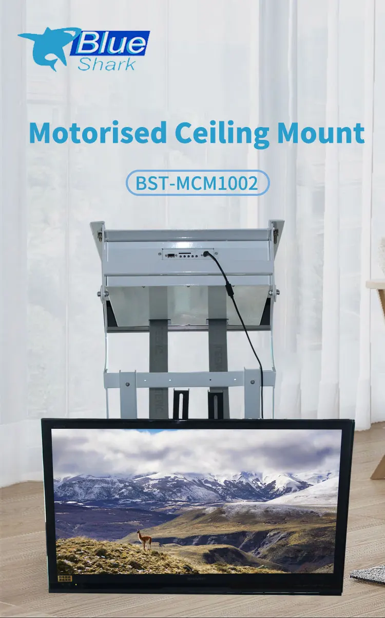 ceiling TV mount  (1).jpg
