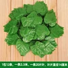 20 foglie di vite extra-large, di cui 12