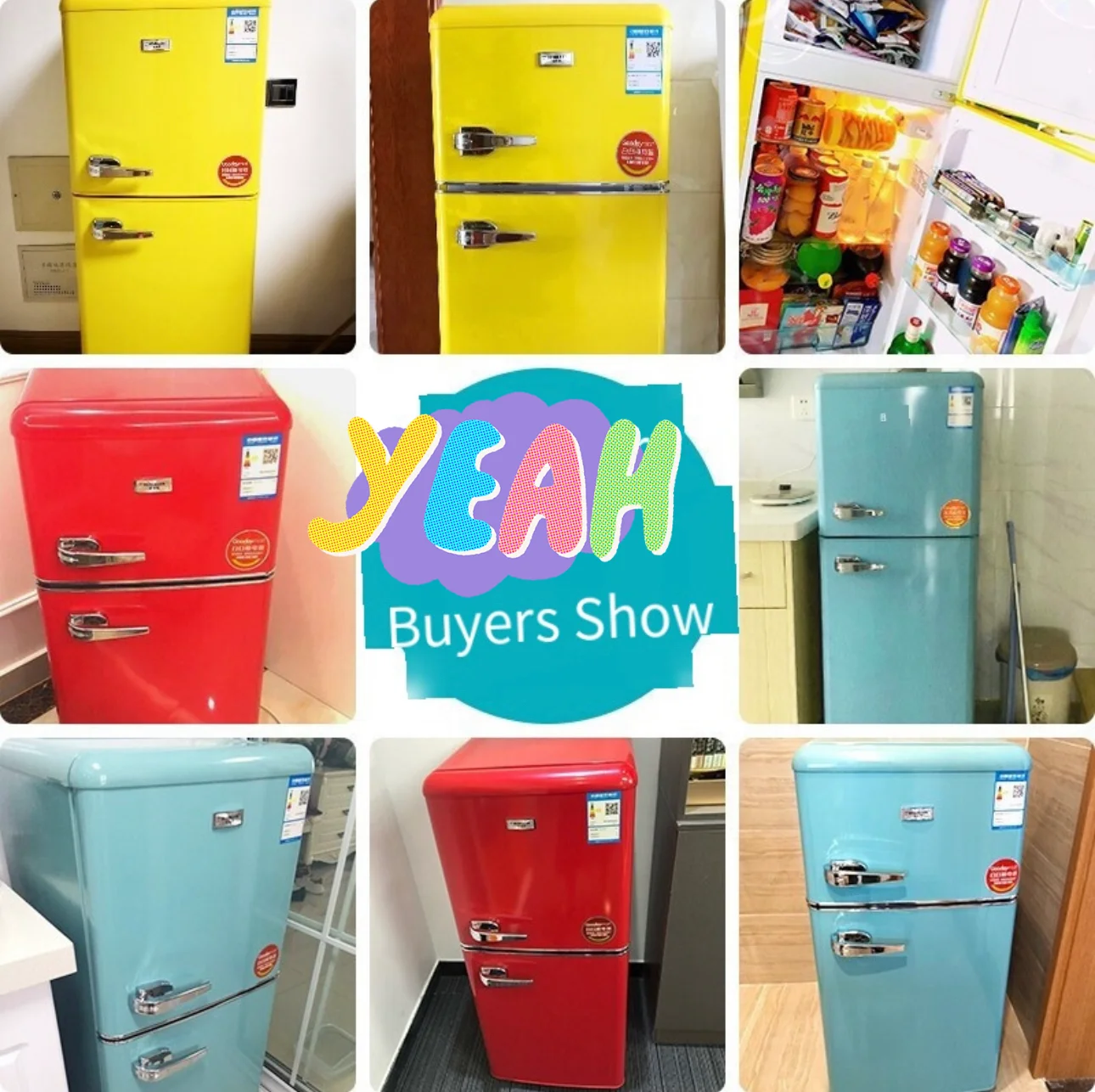 Mini Fridge - Multiple Models Double Door with Lock DC Compressor