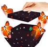 Black Explosion star butterfly box