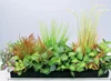 green Style k