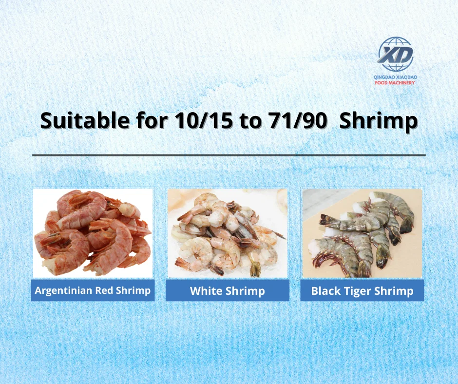 Premium Design Automatic Shrimp Shell Remover and Vein Cleaner Equipment  Shrimp Processing for Industrial Shrimp Processing