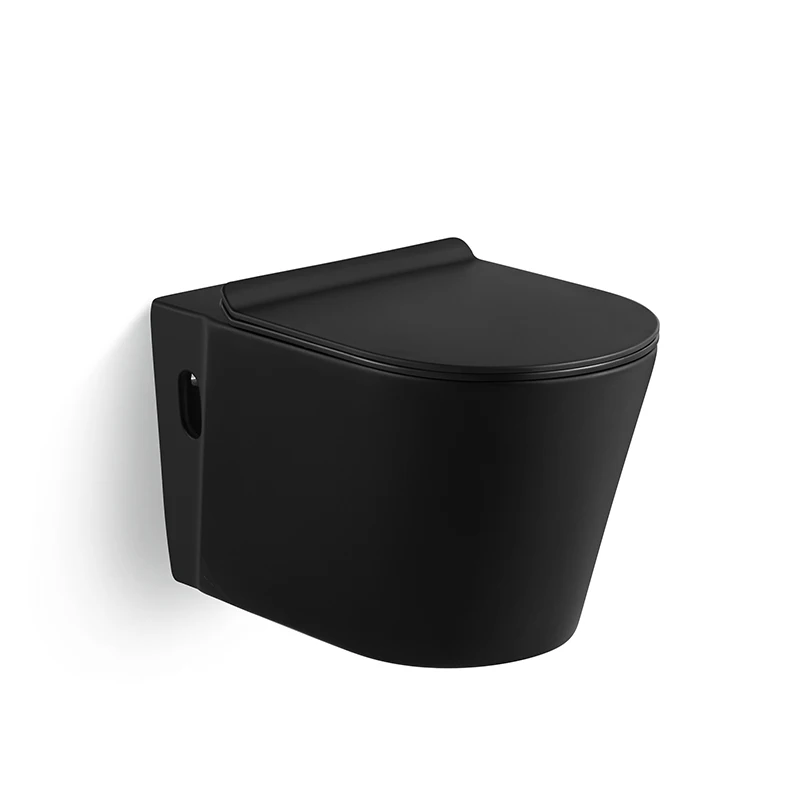 Rimless Flush Toilet, Matt Black Toilet