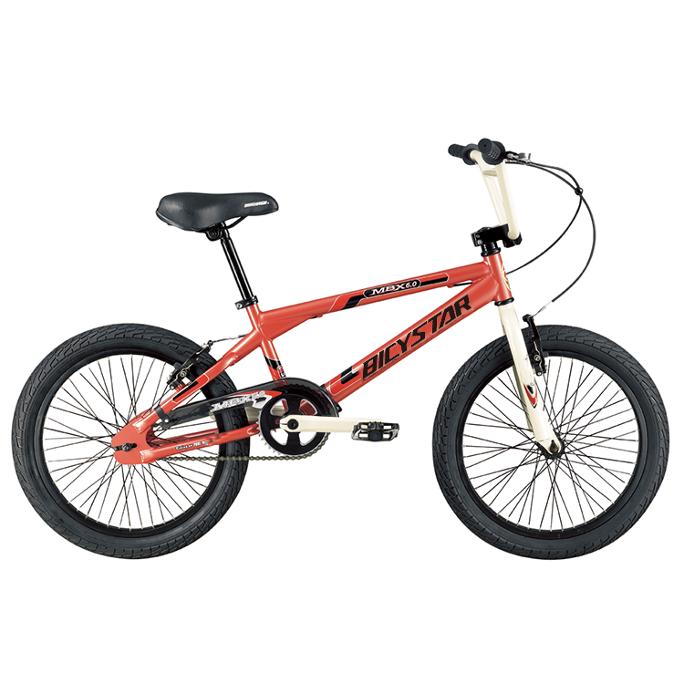 2024 Hot Sale BMX Bike - 29 Inch DIRT JUMP & Street Ride