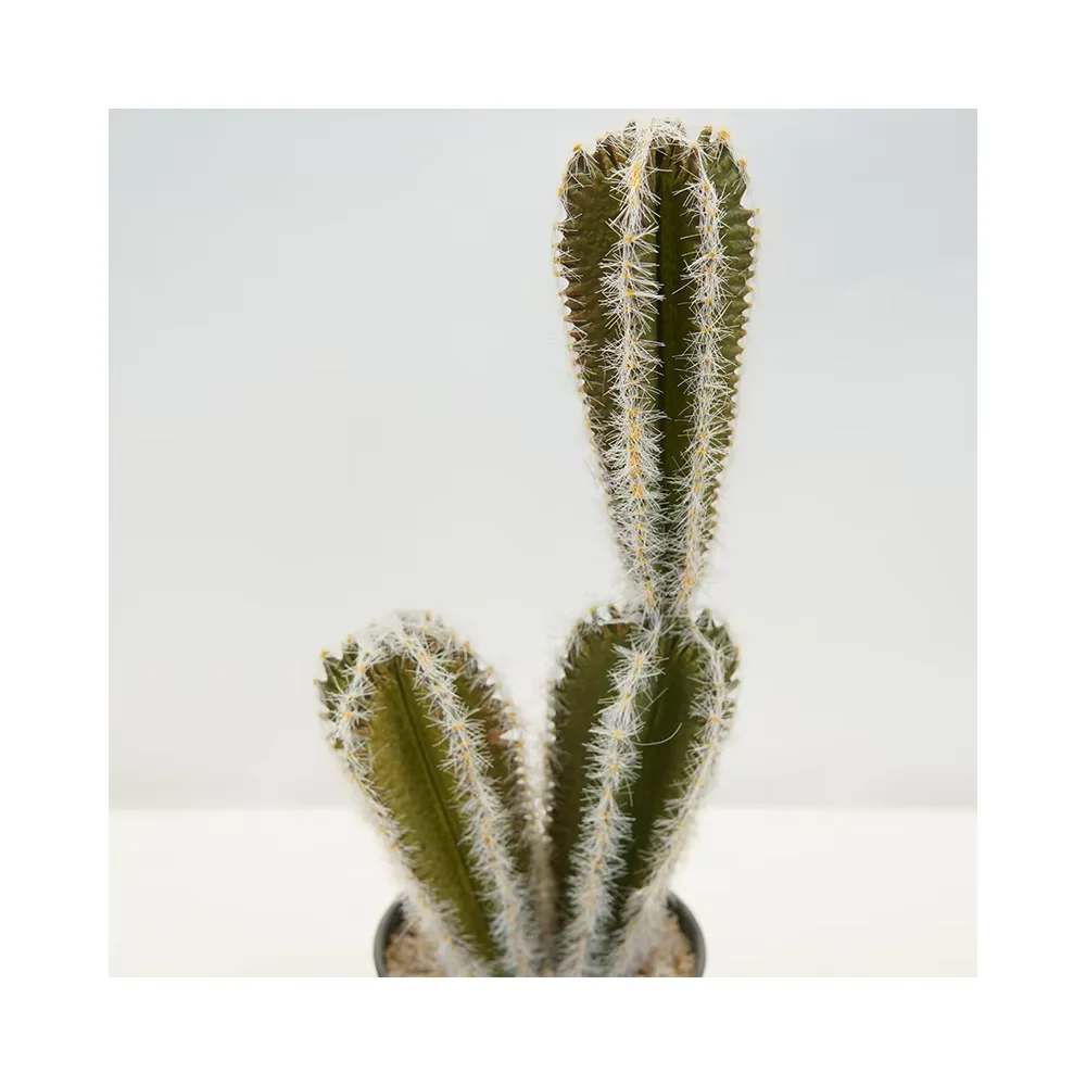 2024 Cheap Wholesale Price Unique Small Plant Office Interior Decoration Faux Pickly Potted Plants  Artificial Cactus Plant