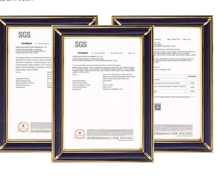 SGS