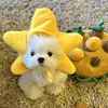 Starfish cap