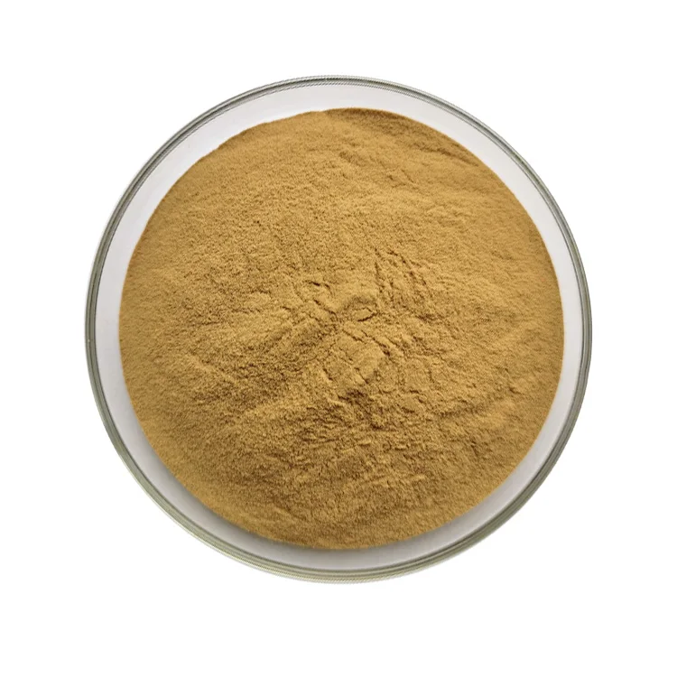 Bulk Bacopa Monnieri Extract Powder 10% 20% 50% Bacopasides Bacopa Monniera Extract