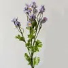 Bleu + violet