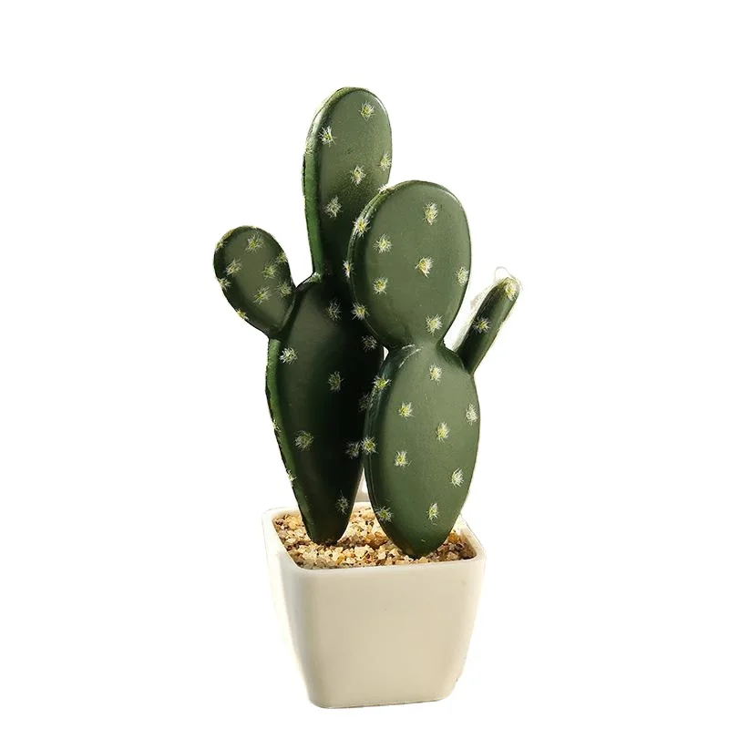 artificial succulent plant cactus prickly pear with square