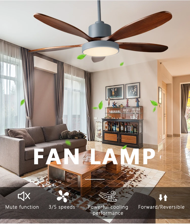 Ceiling Fan, 110-220V, DC35w - detail 4