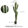Cactus mexicano con múltiples ramas - 150CM