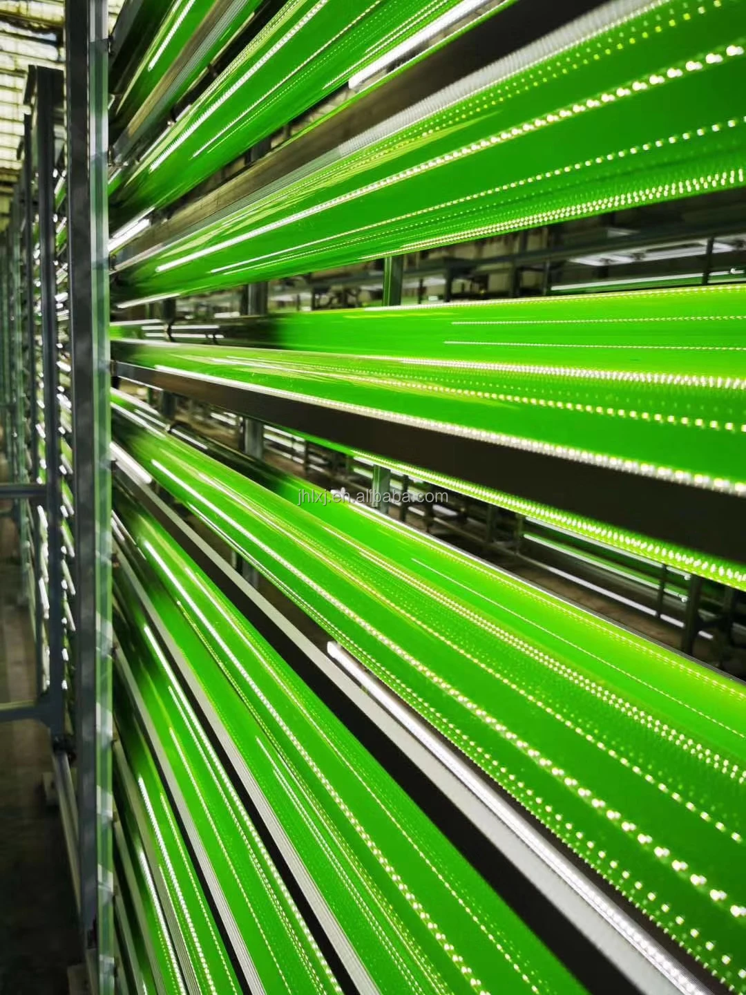 Microalgae Photobioreactor Tubular Reactor for Algae