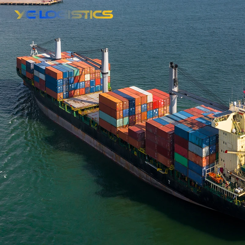 Inspection Service Professional China Shenzhen Swift International Logistics Raliway Train Shipping Agent From China to Brazil