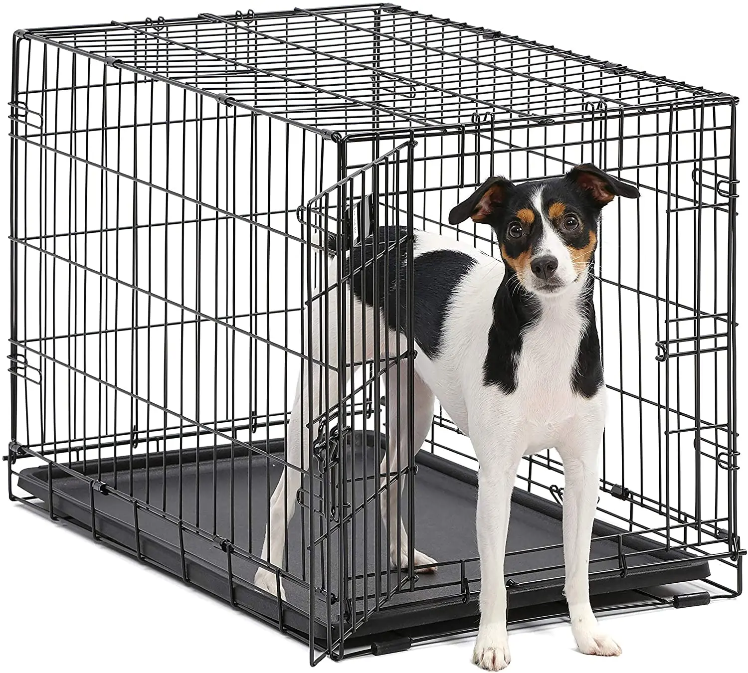 metal wire dog crate