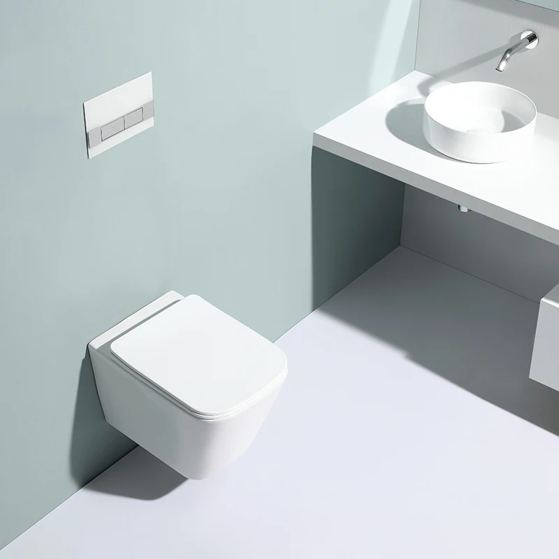 	Energy-saving ceramic wall-hung toilet