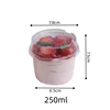 Transparente (250 ml)