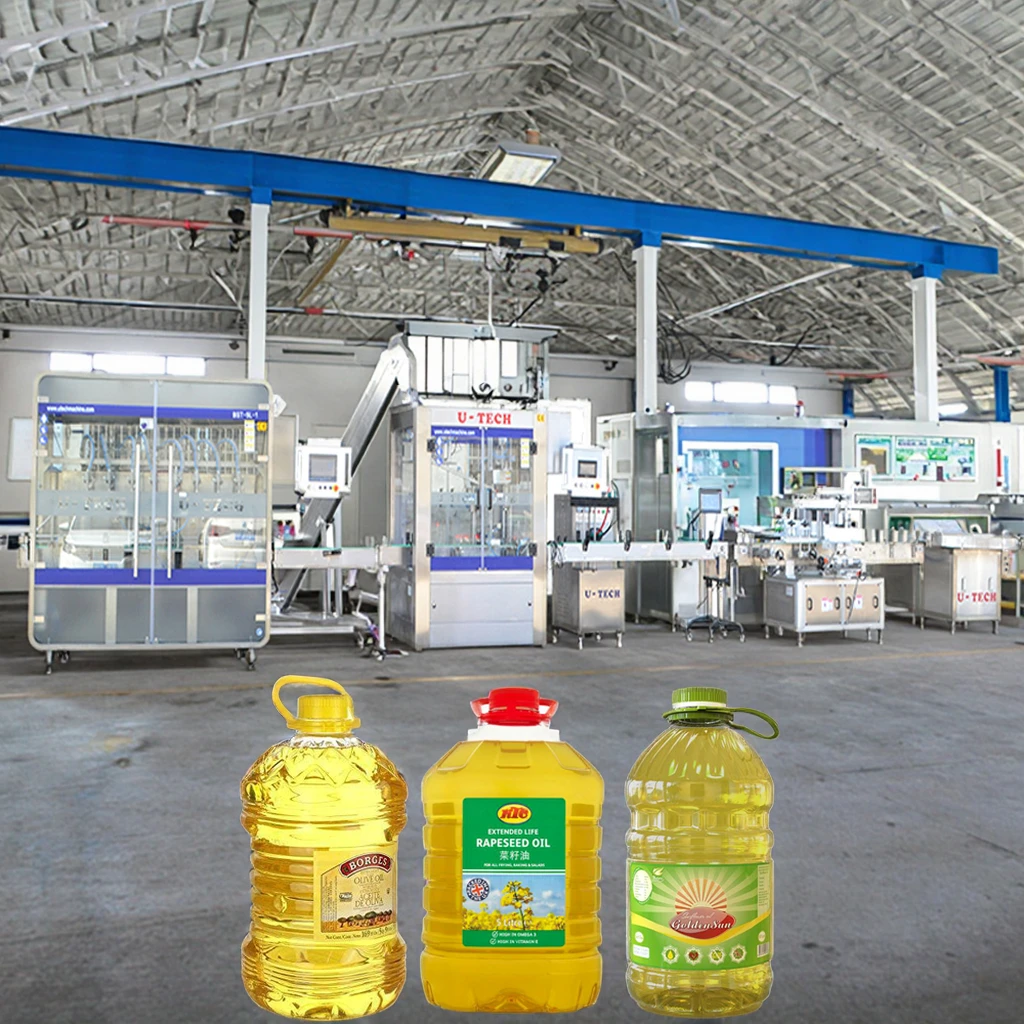 Various Bottled 5 Litres Refined Sunflower Healthy Food & Beverage Medical Glass PLC High Efficiency Filling and Capping Machine