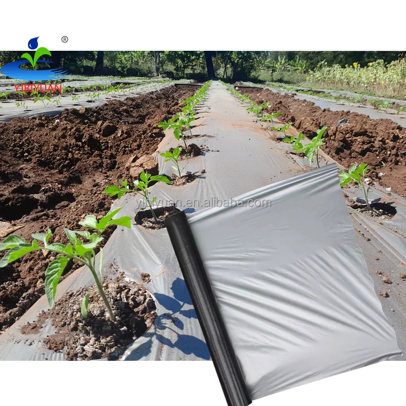 Agricultural Tomato Plastic Mulch Film Polythene Roll for Farm Crops Growing Anti Weed Mulching Cloth