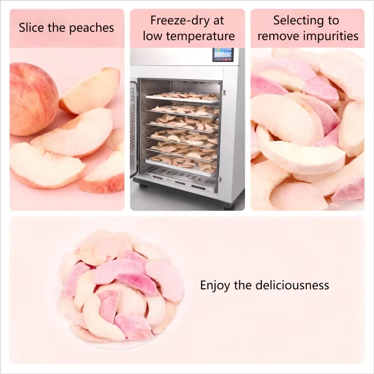 China Freeze Dried Peach Slices Factory | Bulk Wholesale H1bdca5b1d7a144bfba7d51650d495007q