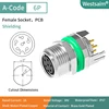 M8-A-6 hembra recta con soporte
