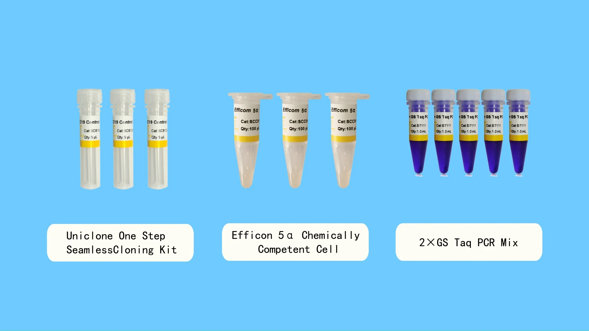 30 Rxns Genscut Esp3i(bsmbi) Rapid Restriction Enzymes Restriction
