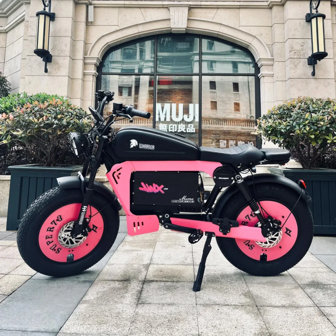 電動アシスト自転車 20インチx5.0 ファットタイヤ 電動自転車 1500W