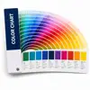 Color Customization