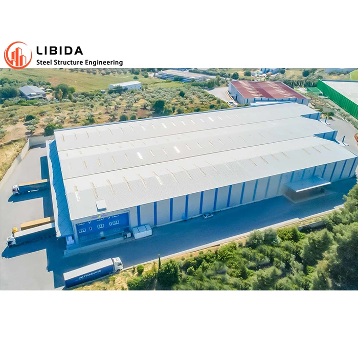 Рентабельное строительство Готовые стальные здания функциональный зал бесплатный дизайн промышленный сарай